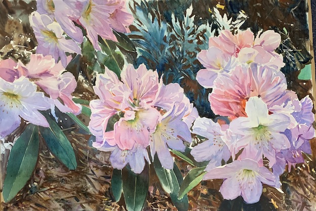 Richard Bolton | PInk Rhody | McAtamney Gallery and Design Store | Geraldine N